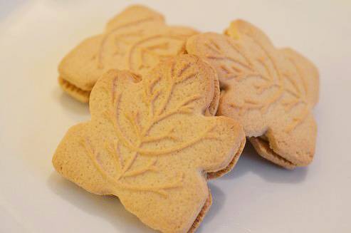 Feuille Erable Feuille Erable