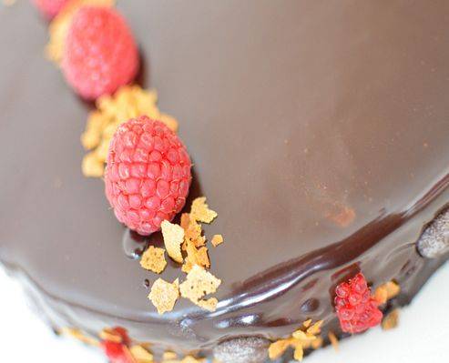 Royal Chocolat 19 Royal Chocolat 19