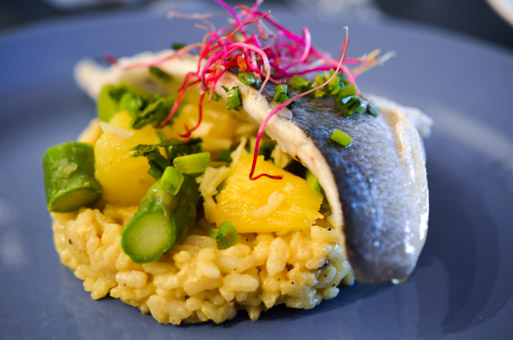 Risotto Curry Daurade Soy 11 Risotto Curry Daurade Soy 11