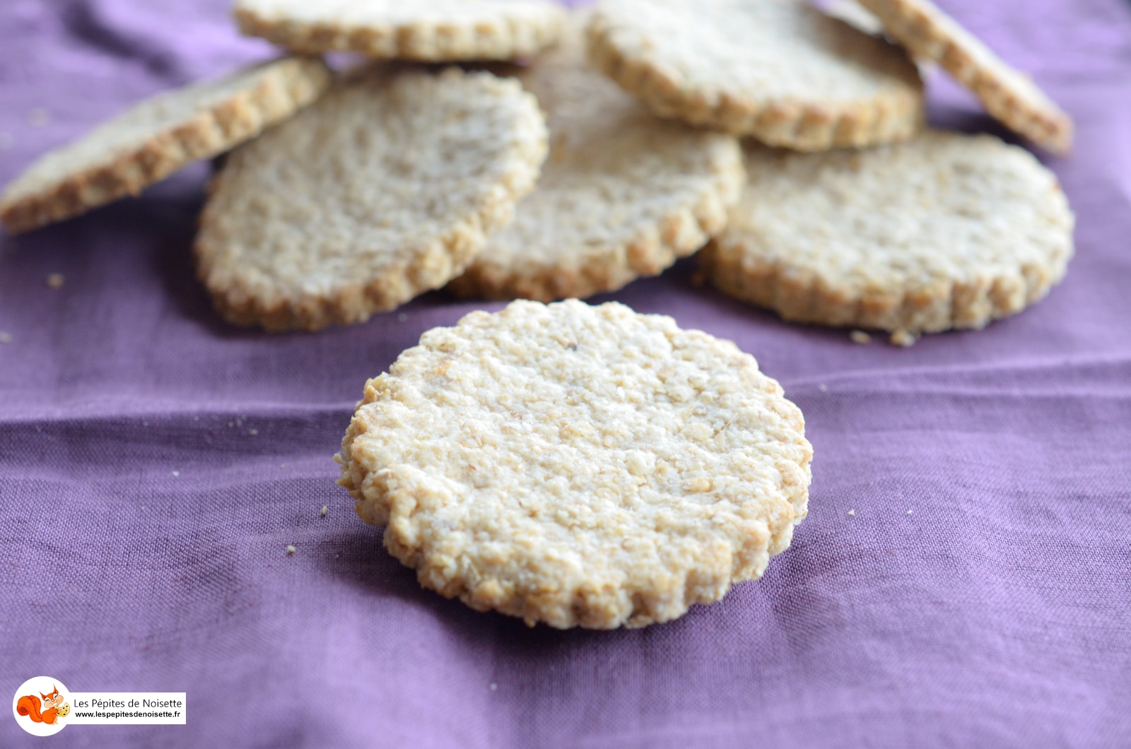 Biscuits Avoine Digestive (8 Sur 8) Biscuits Avoine Digestive (8 Sur 8)