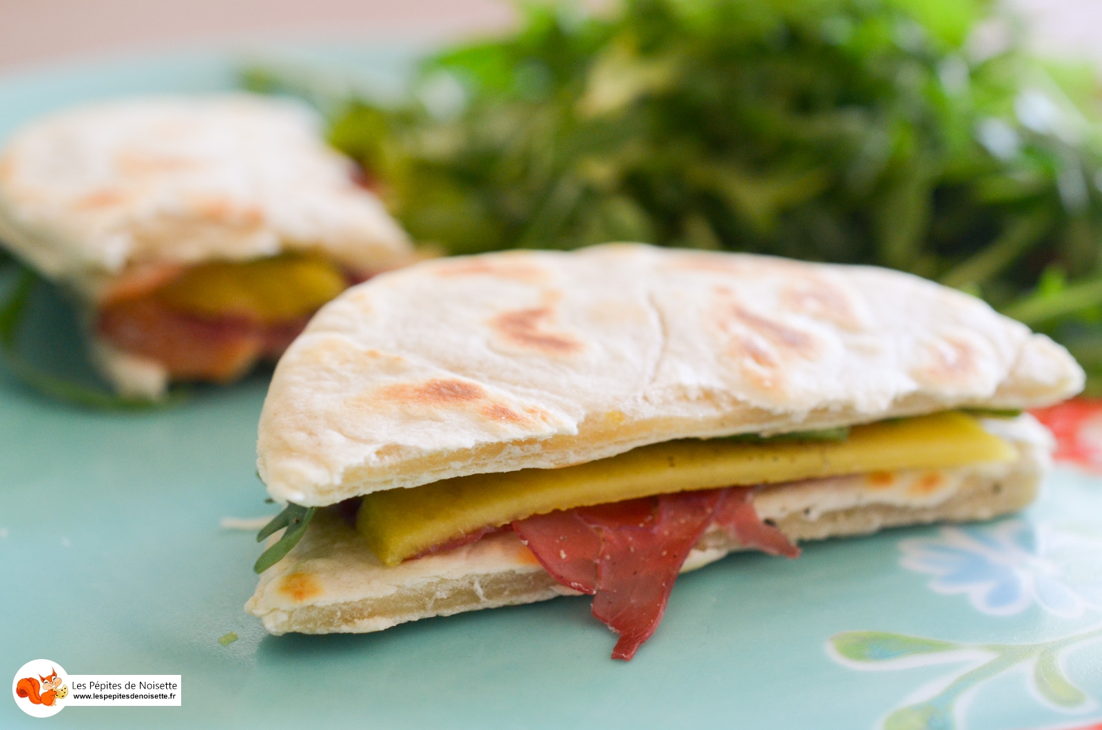 Piadine Murol Mangue Bresaola (13 Sur 14) Piadine Murol Mangue Bresaola (13 Sur 14)