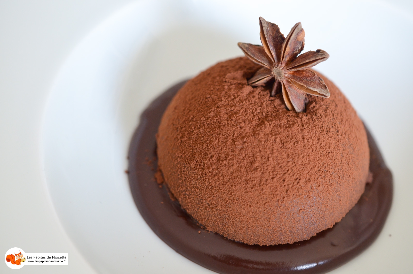 Truffe Glacée Chocolat Badiane (9 Sur 9) Truffe Glacée Chocolat Badiane (9 Sur 9)