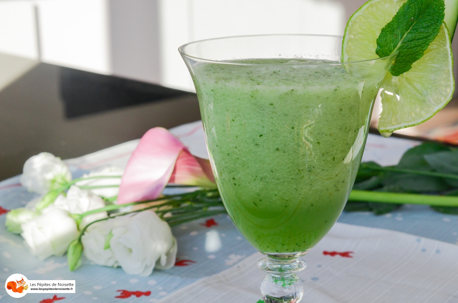 Smoothie Fraicheur Vert Melon Menthe Concombre Miel Aloes (8 Sur 9) Smoothie Fraicheur Vert Melon Menthe Concombre Miel Aloes (8 Sur 9)