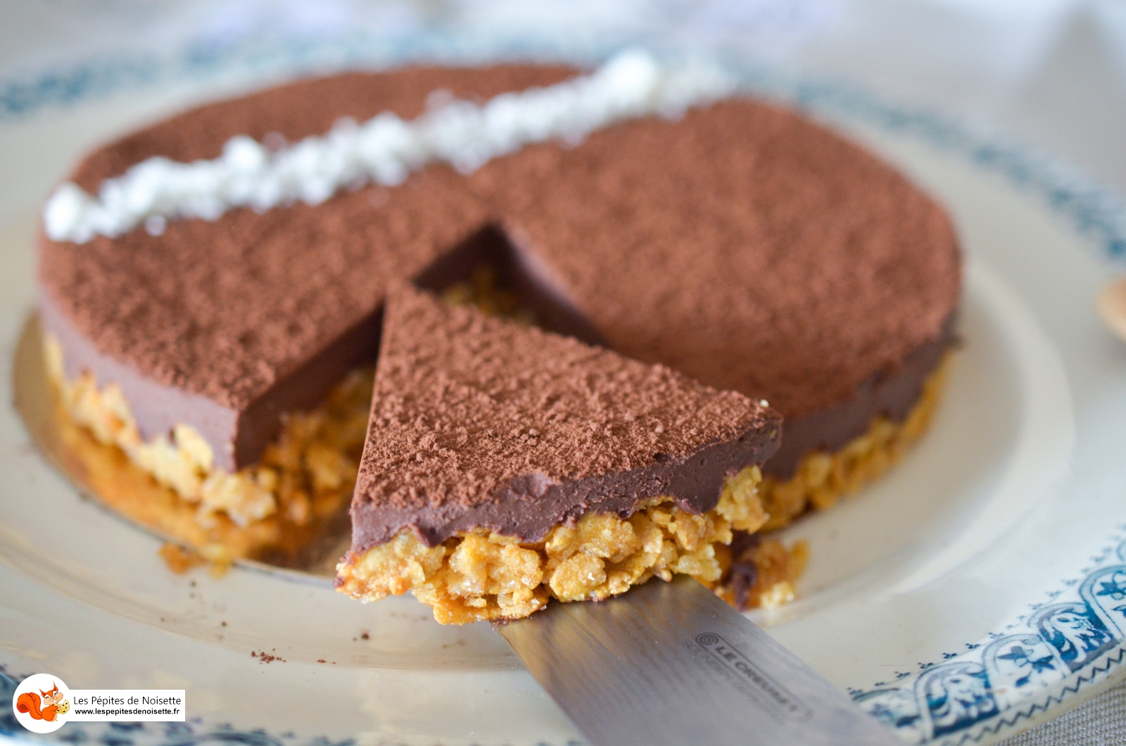 Tarte Choco Coco Sans Gluten Lactose (8 Sur 8) Tarte Choco Coco Sans Gluten Lactose (8 Sur 8)