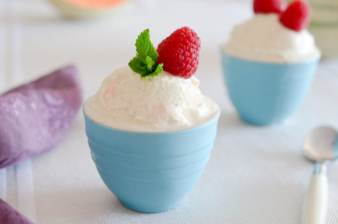 Glace Yaourt Melon (9 Sur 11) Glace Yaourt Melon (9 Sur 11)