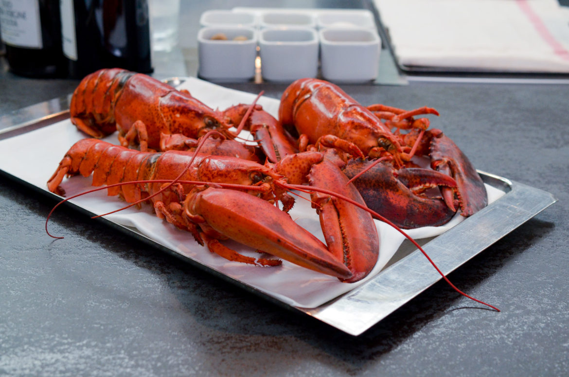 Homard Nouvelle Ecosse (1 Sur 18) Homard Nouvelle Ecosse (1 Sur 18)