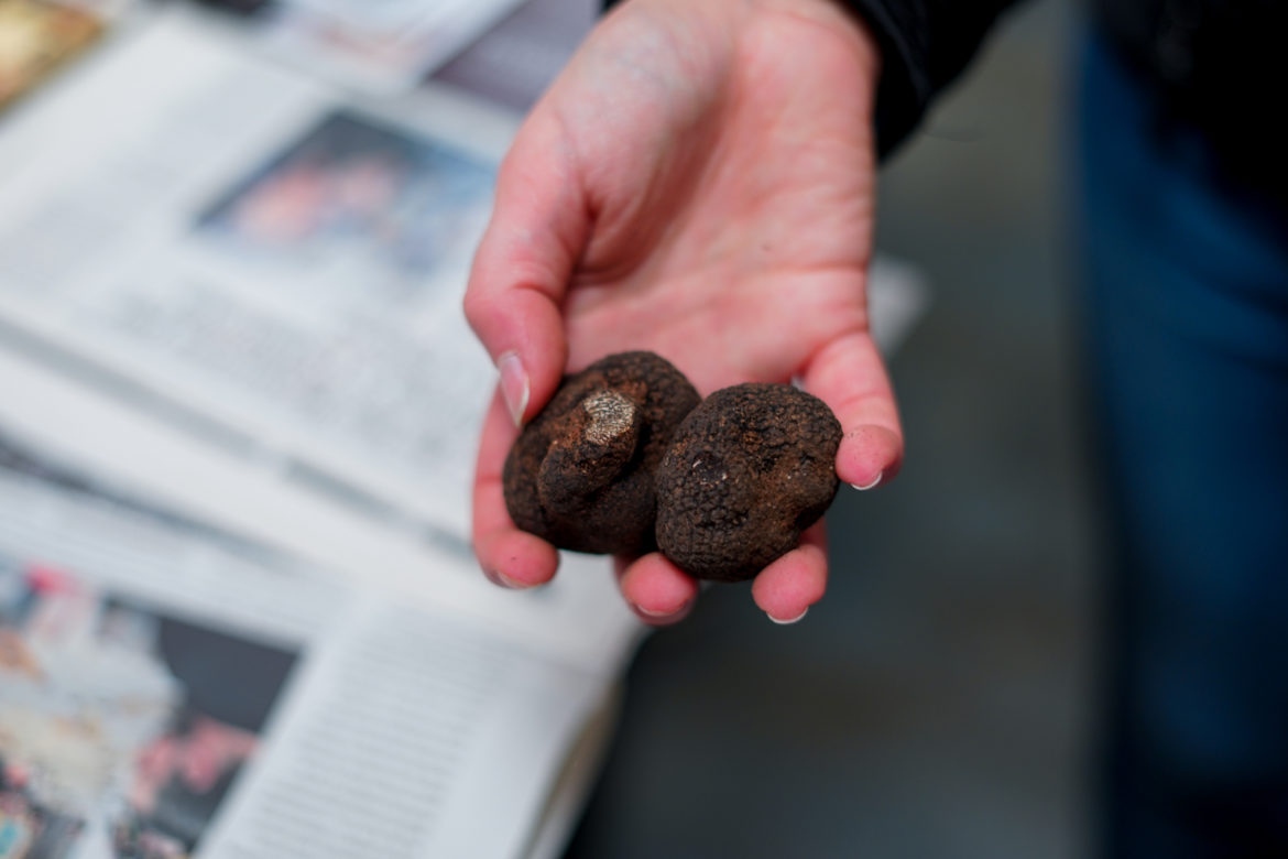 Carol Truffles Osona 18 Carol Truffles Osona 18